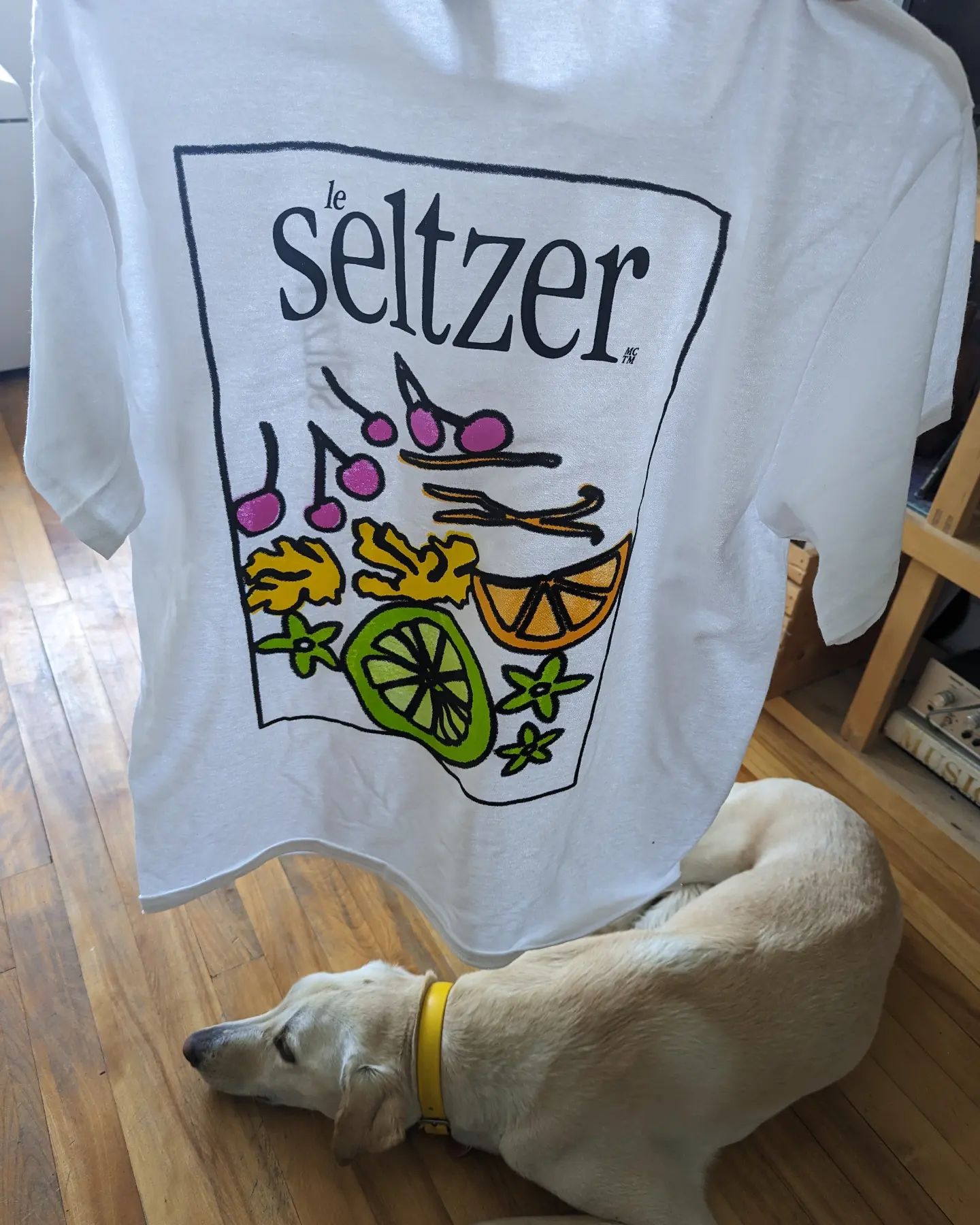 leseltzer-summer shirt