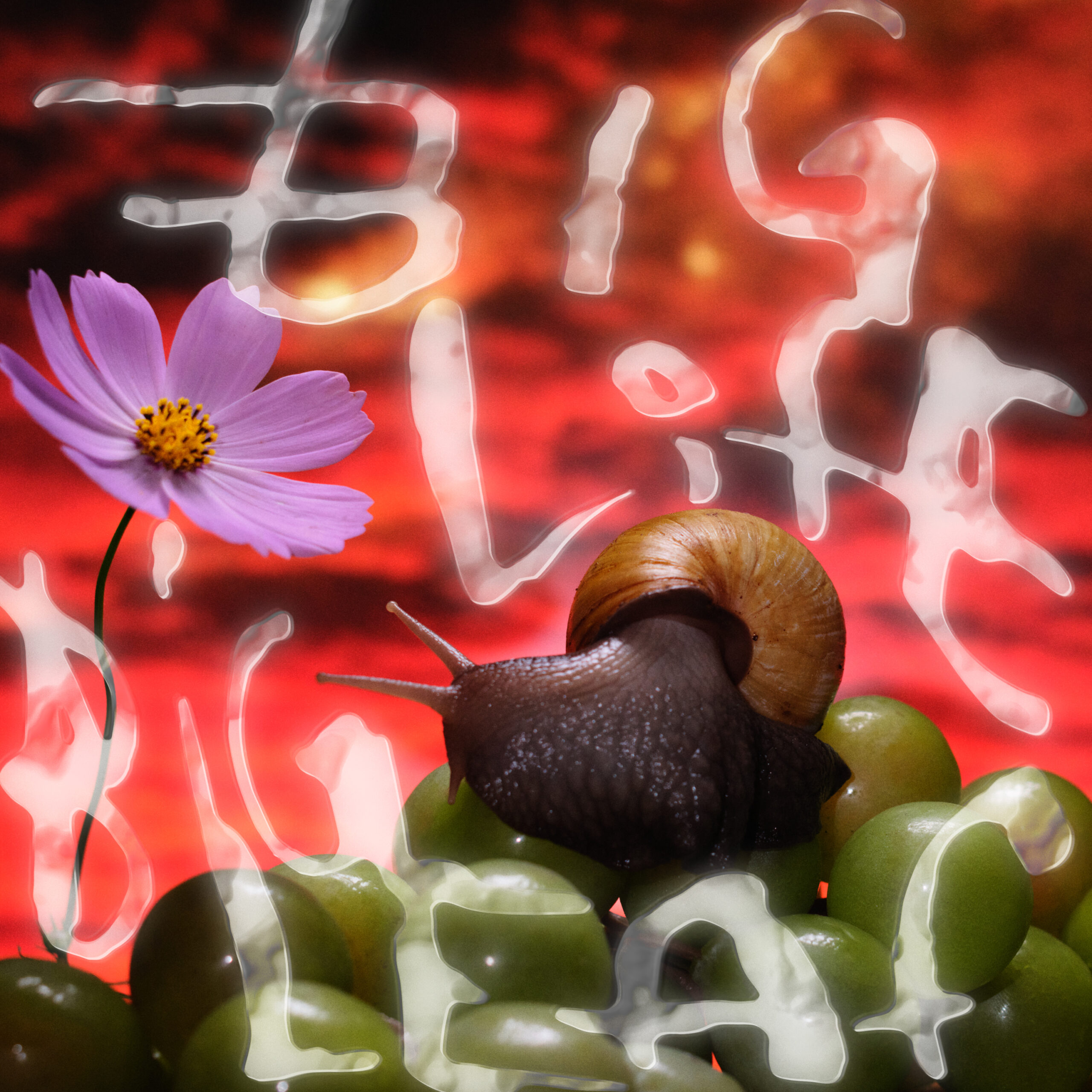 2026.05.13-NO JOY_BIG LIFE BIG LEAF-EP COVER-3000