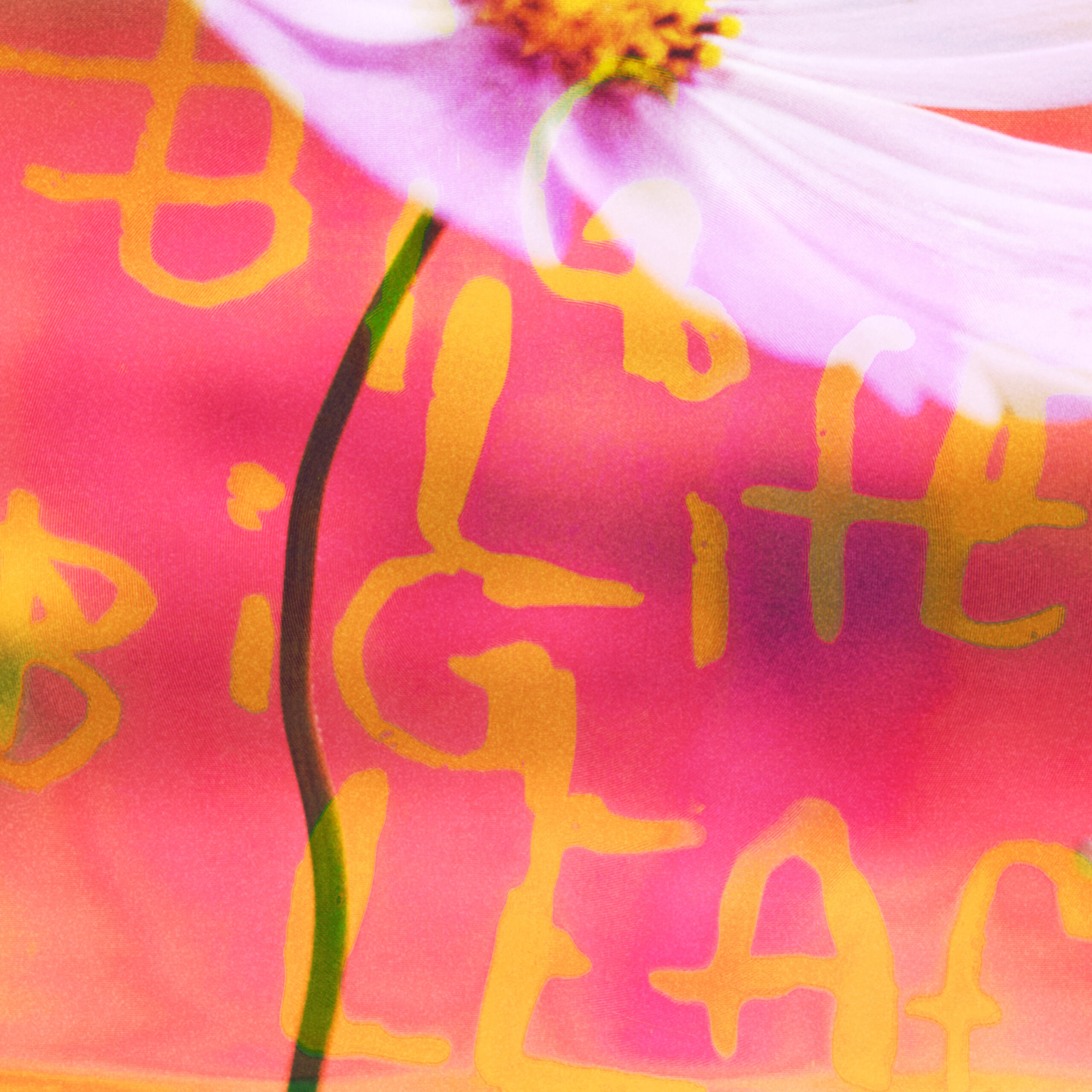2026.05.13-NO JOY_BIG LIFE BIG LEAF-SINGLE-3000