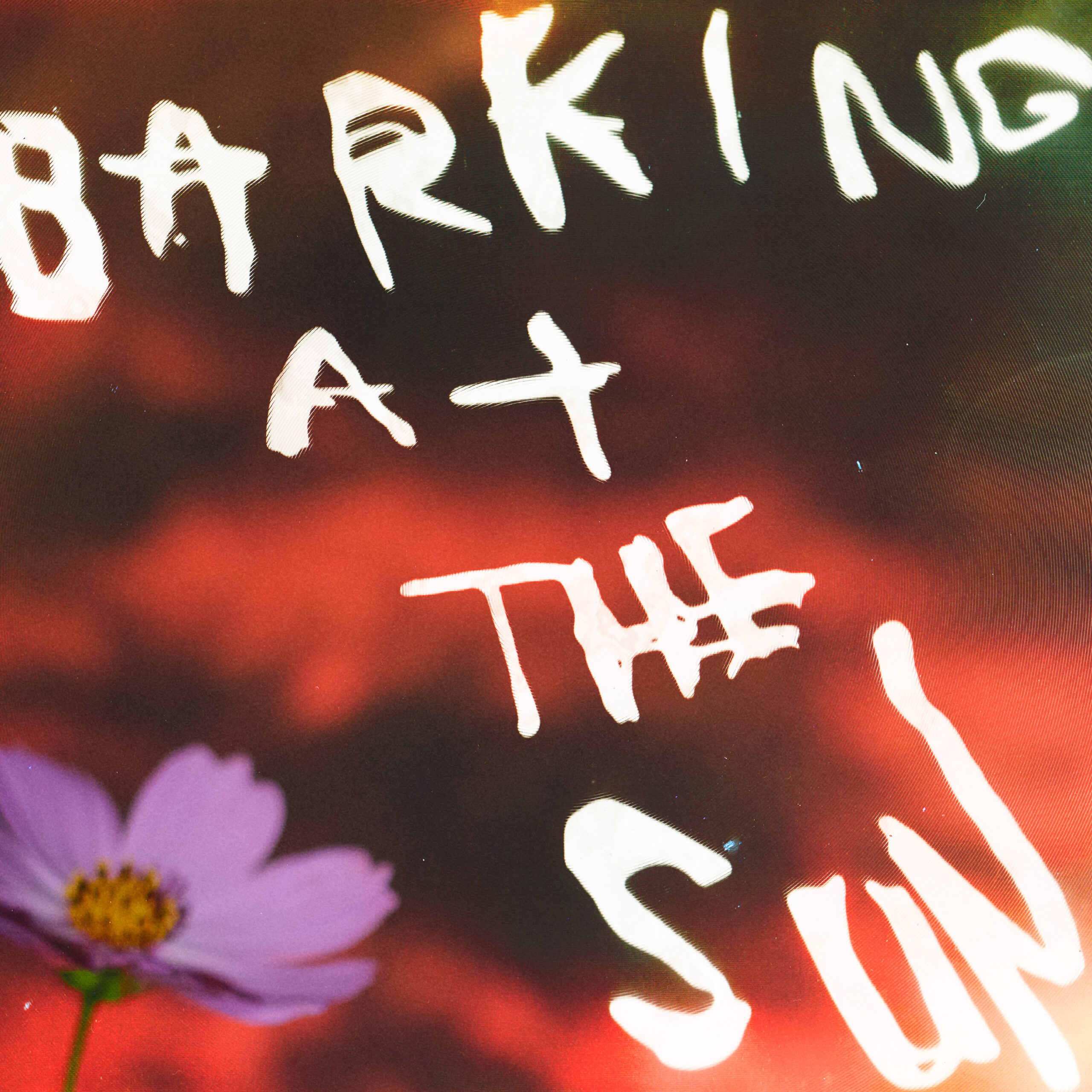 2026.05.28-NO JOY_BARKING AT THE SUN-SINGLE-3000